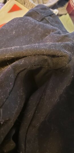 FB_IMG_1635171999320